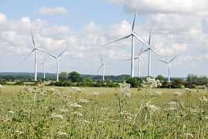 Survey finds the majority of the public support renewable energy